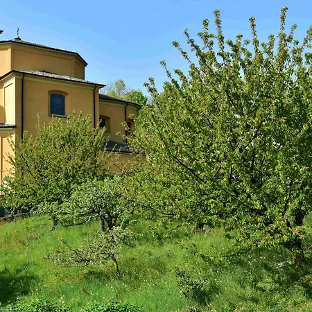 Apartment Il Ronchetto Cunardo